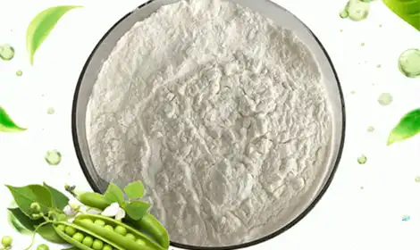 Is Hydrolyzed Pea Protein Powder Good For Muscle Growth?